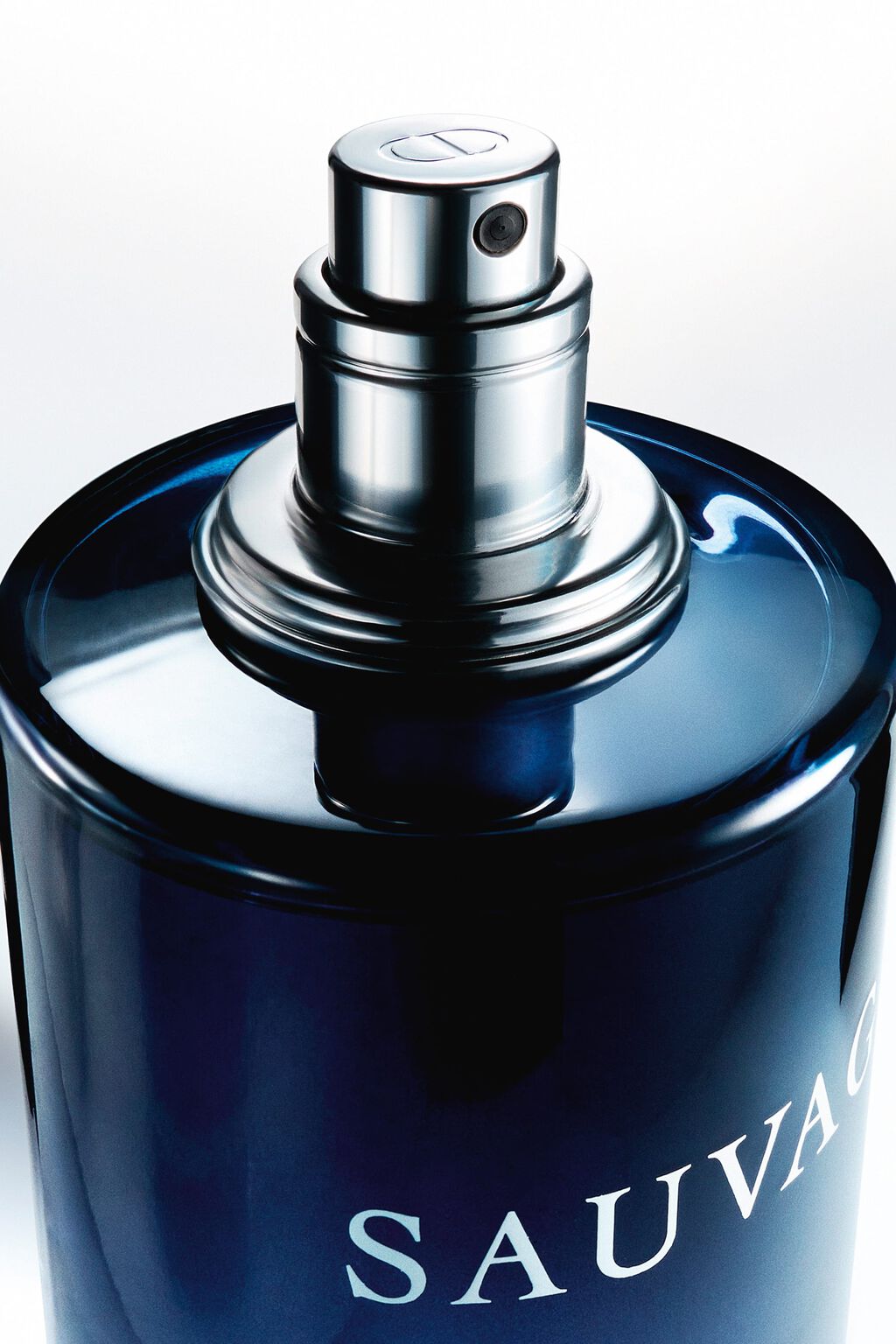 Dior Sauvage Eau de Parfum Spray 100ml